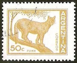 PUMA