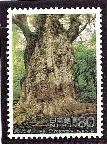 Yakushima (flora)