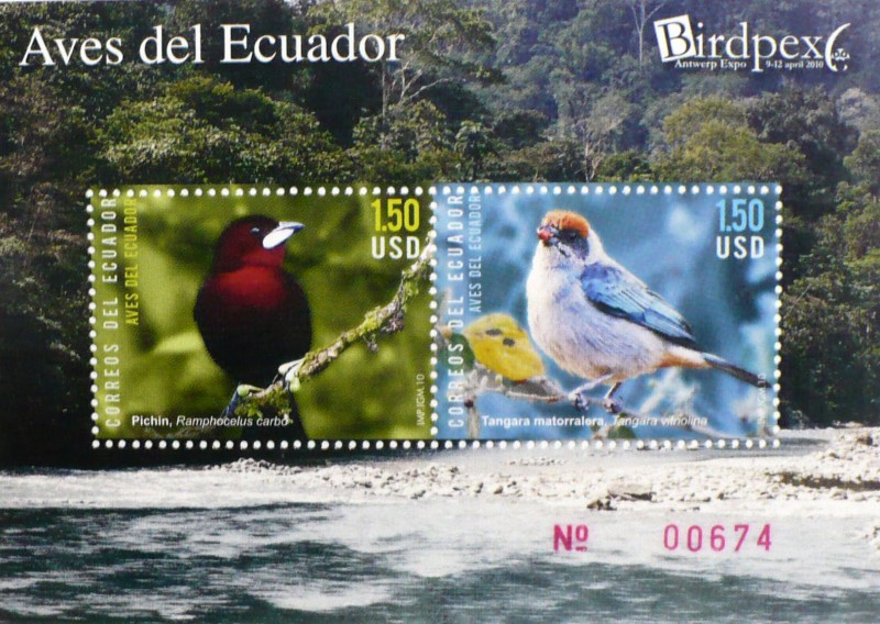 Aves del Ecuador