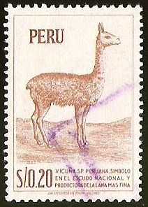 VICUÑA