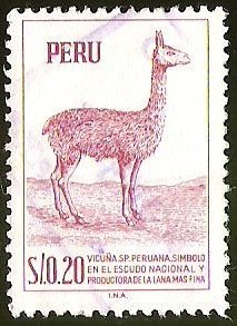 VICUÑA