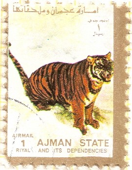 AJMAN - Tigre de Bengala