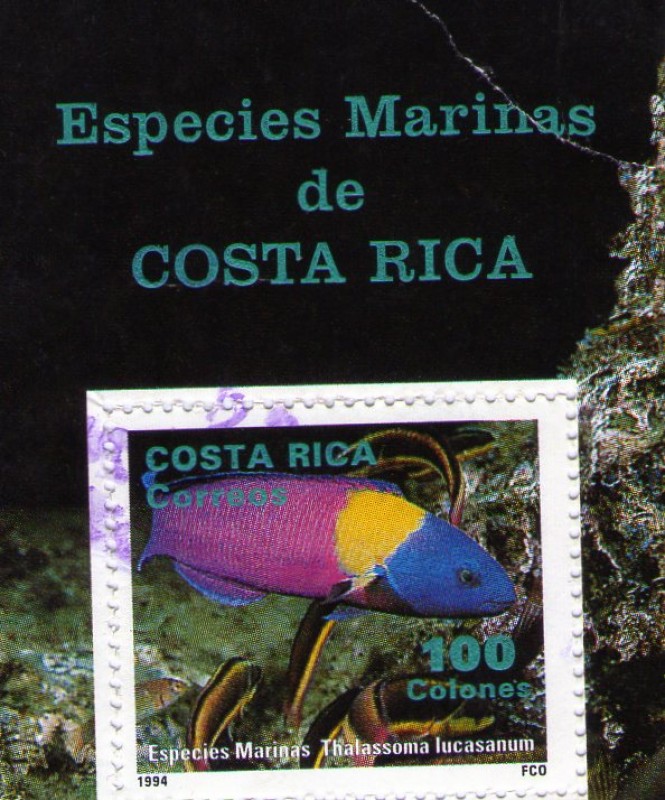 ESPECIES MARINAS DE COSTA RICA