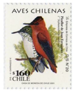 Aves Chilenas 