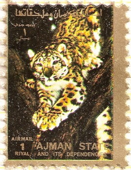 AJMAN - Leopardo