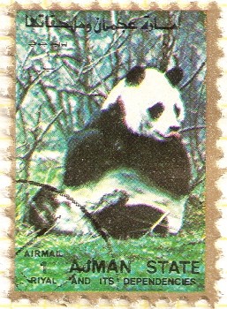 AJMAN - Panda