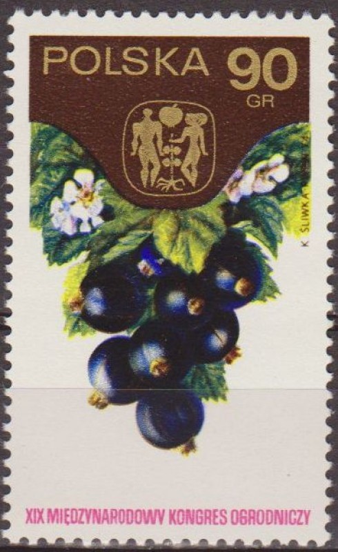 Polonia 1974 Scott 2050 Sello ** Congreso Horticola Varsovia Frutas Pasas de Corinto 