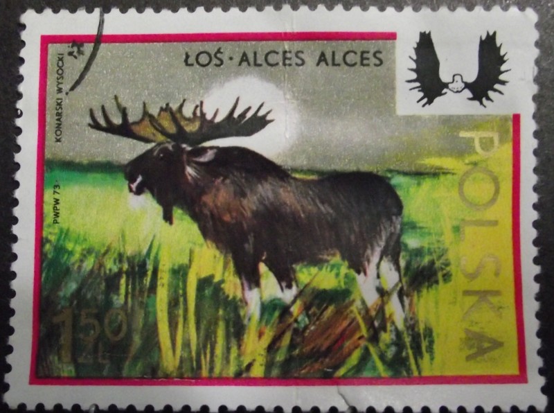 Los Alces