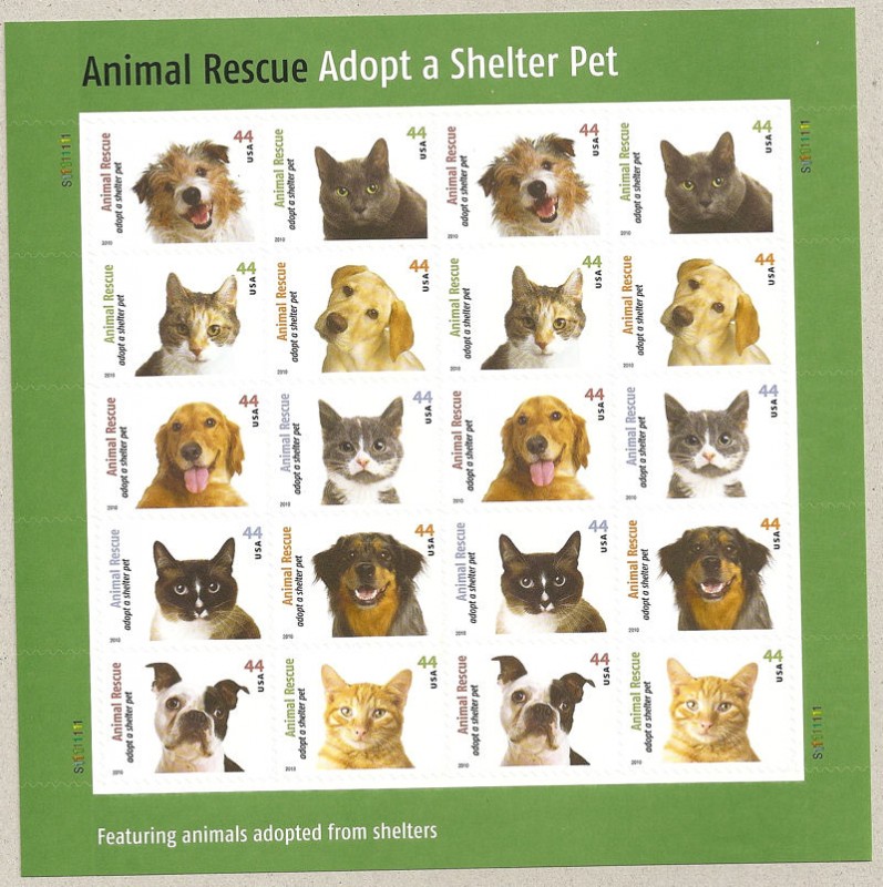 Adopten Gatos y Perros