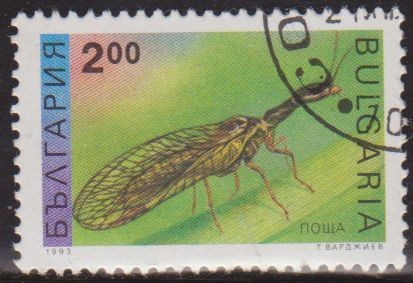 Bulgaria 1992 Scott 3711 Sello º Insectos Mayfly Ephemeroptera Bulgarie Mi4094 Yv3546 