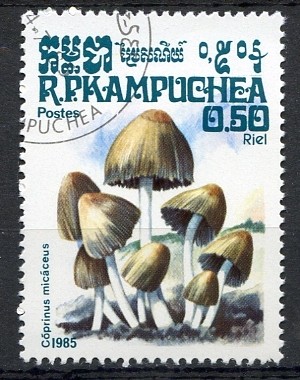 Camboya 1985 Scott 570 Sello * Setas Mushrooms Coprinus Micaceus 0,50r Matasello favor Preobliterado