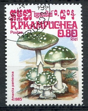 Camboya 1985 Scott 571 Sello * Setas Mushrooms Amanita Pantherina 0,80r Matasello de favor Preoblite