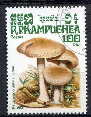 Camboya 1985 Scott 572 Sello * Setas Mushrooms Hebeloma Crustuliniforme 1,00r Matasello de favor