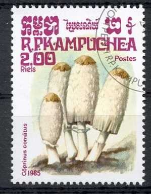 Camboya 1985 Scott 574 Sello * Setas Mushrooms Coprinus cornatus 2,00r Matasello de favor Preobliter