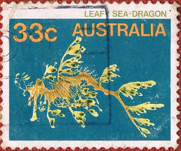 LEAFY SEA-DRAGON