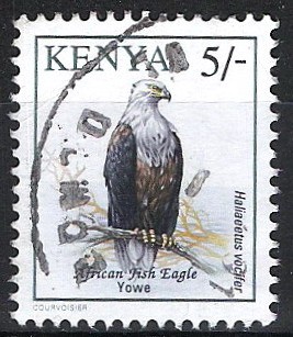 Aves. Pigargo vocinglero. Águila pescadora africana.