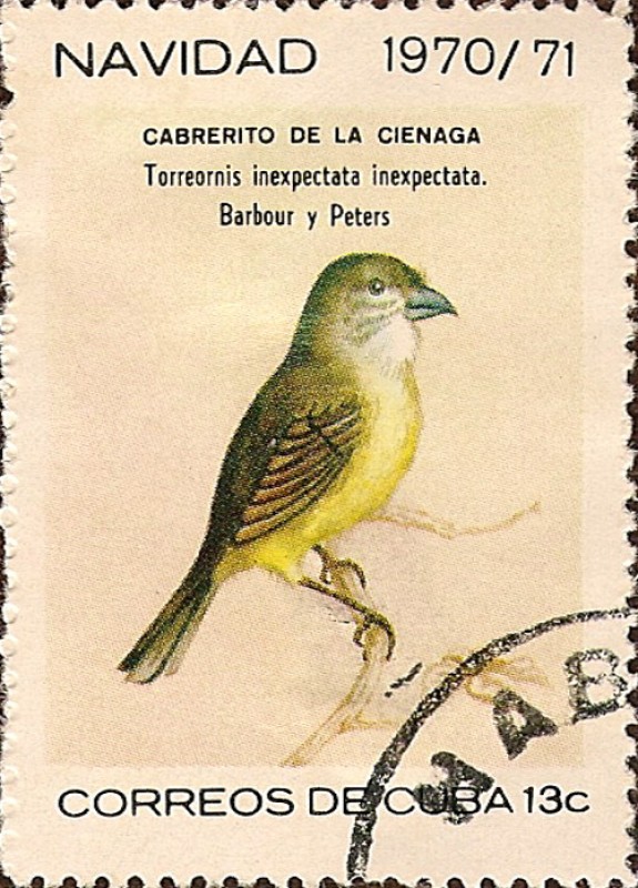 Navidad 1970/71 - Aves: Torreornis inexpectata inexpectata.