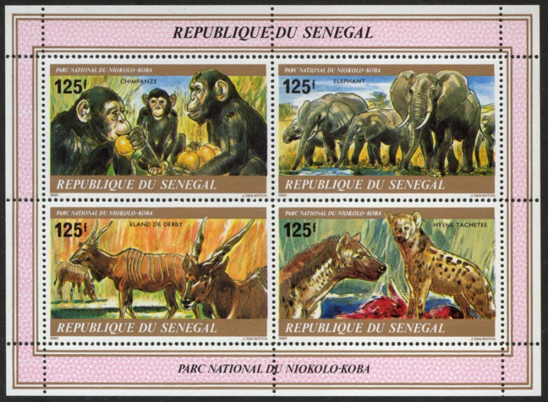 SENEGAL - Parque Nacional Niokolo-Koba