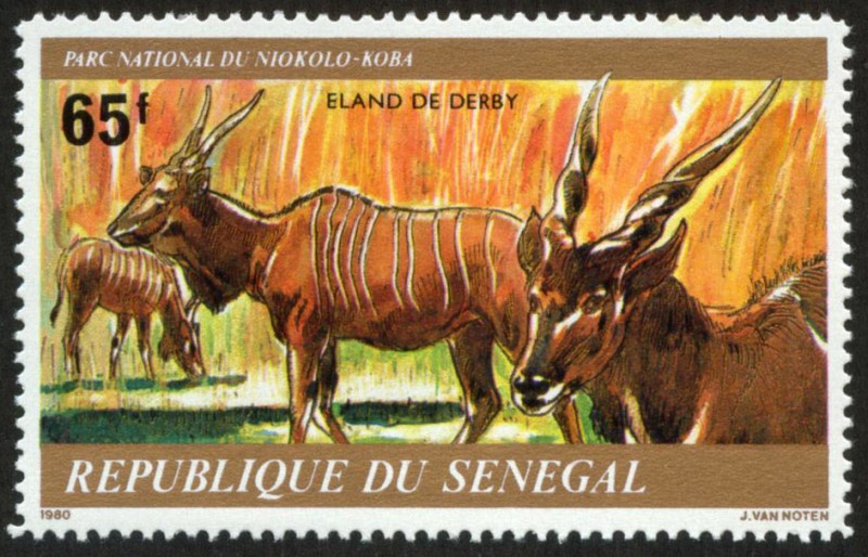SENEGAL - Parque Nacional Niokolo-Koba