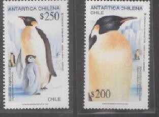 Antártida Chilena