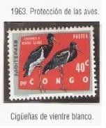 Protección de las Aves