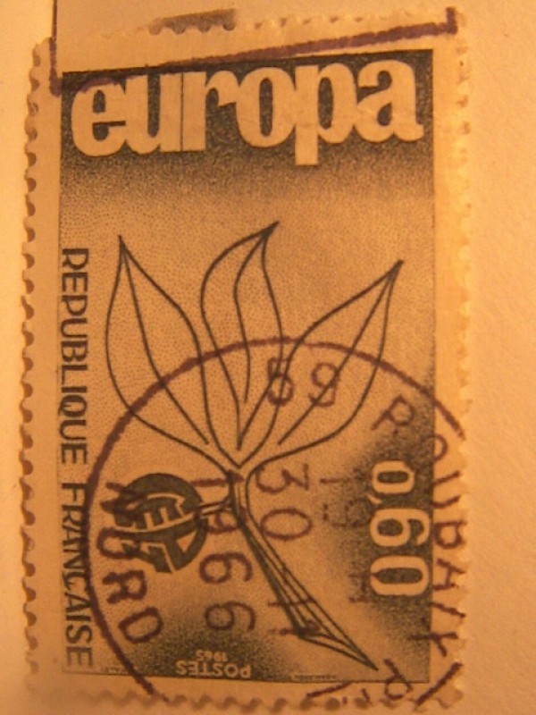 C E P T europa