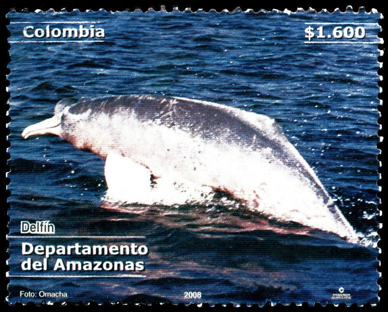 EMISIÓN POSTAL DEPARTAMENTOS DE COLOMBIA - AMAZONAS