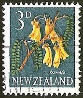 KOWHAI