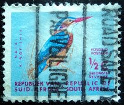 Natal Kingfisher