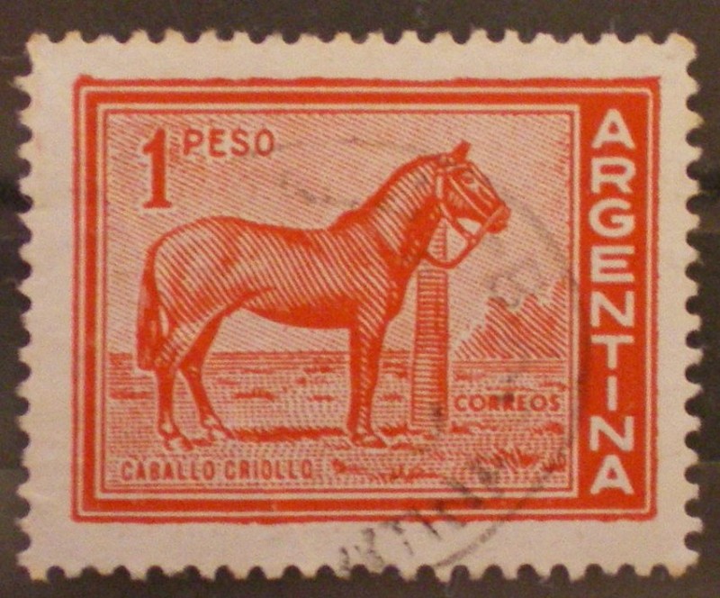 caballo criollo