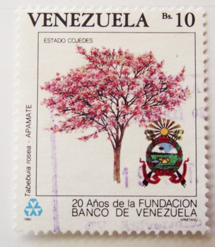 20  años de la Fundación Banco de Venezuela