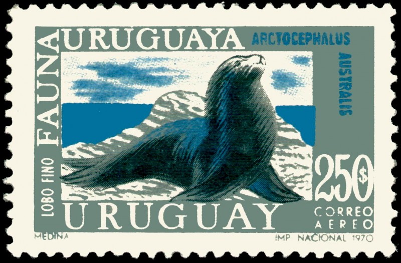 FAUNA URUGUAYA - LOBO FINO