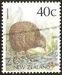 BROWN KIWI