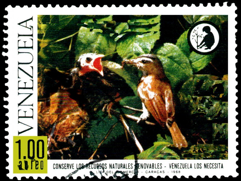 CONSERVE LOS RECURSOS NATURALES RENOVABLES - VIREO DE OJOS ROJOS