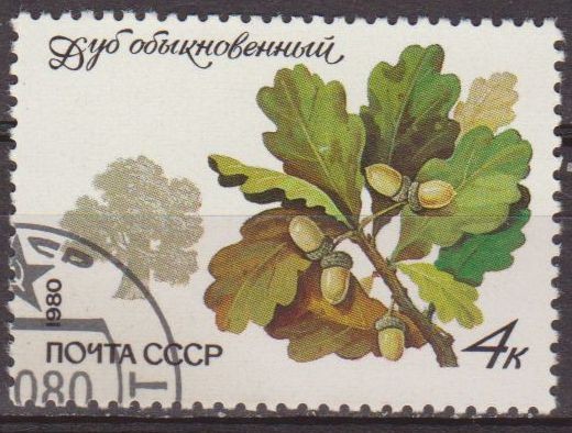 Rusia URSS 1980 Scott 4872 Sello * Flora Arboles Roble matasello de favor preobliterado Russie Russi