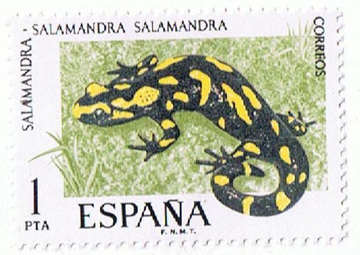 FAUNA HISPÁNICA