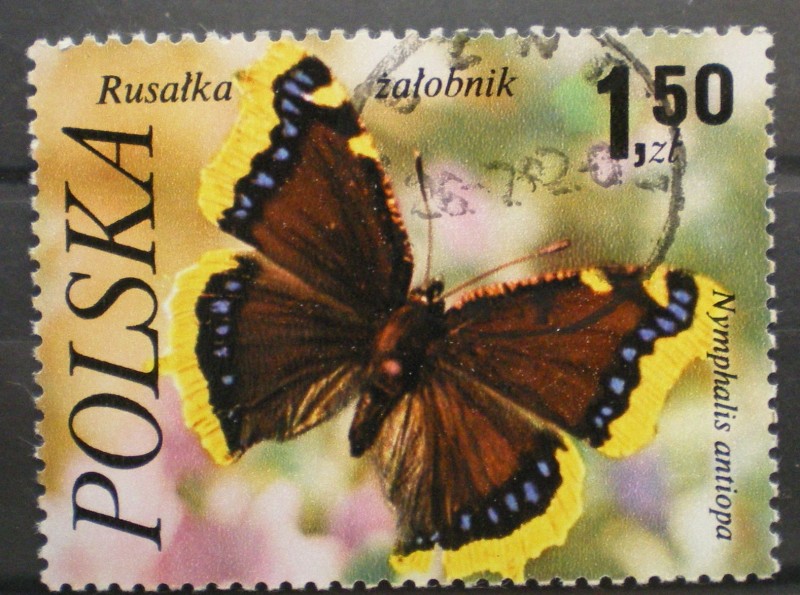 rusalka zalobnik