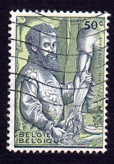 A.VESALIUS 1514 - 1564