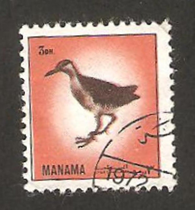 Manama - fauna