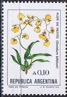 Flor de Patito
