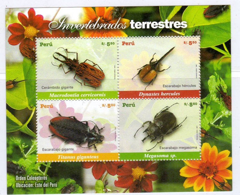 HOJA SOUVENIR INVERTEBRADOS TERRESTRES