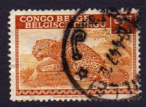 LEOPARDO