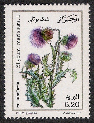 FLORES: 6.102.023,00-MEDICINAL-Silybum marianum