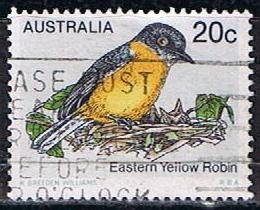 Eastern Yellow Robin (2)