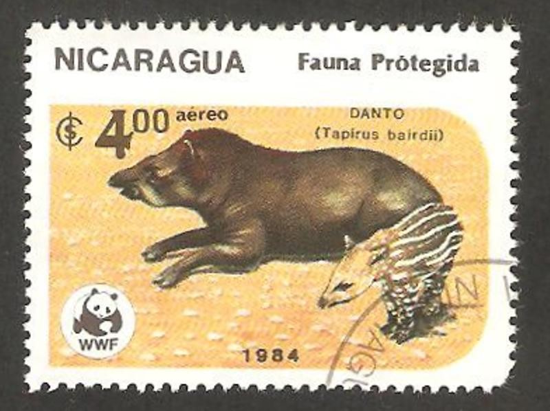 fauna protegida, danto