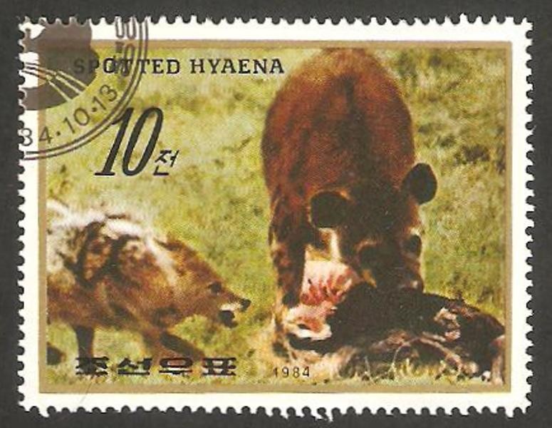 fauna, hienas