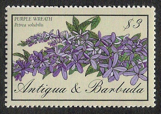 FLORES: 6.105.027,00-Petrea volubilis