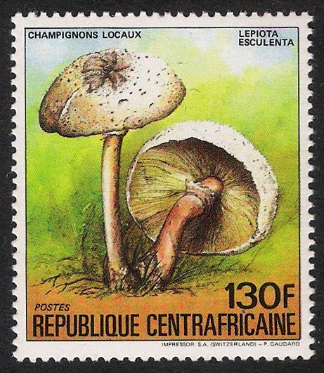 SETAS-HONGOS: 1.127.014,00-Lepiota esculenta