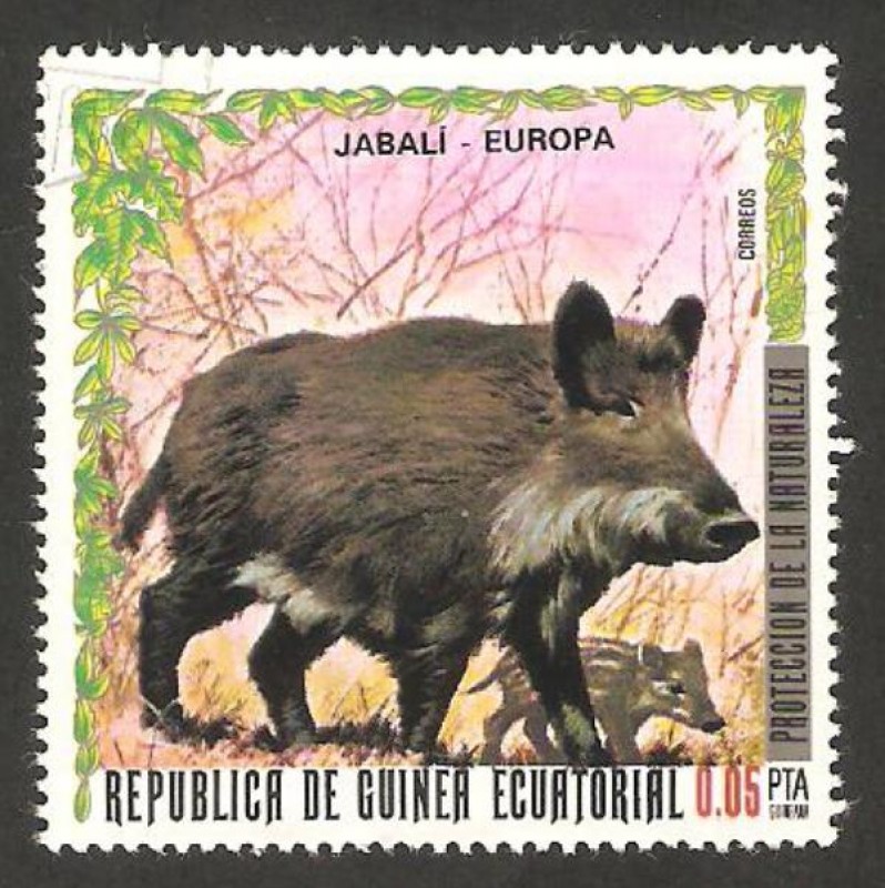 protección de la naturaleza, fauna jabalí