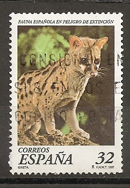 Fauna Española en peligro de extinción. GINETA.